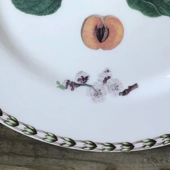 2 Queens Fine China Royal Horticulture Society Hookers Fruit Dinner Plates